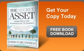 The Secret Asset book